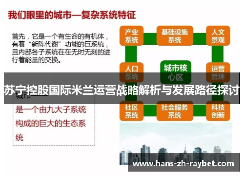 苏宁控股国际米兰运营战略解析与发展路径探讨 苏宁控股国际米兰运营战略解析与发展路径探讨