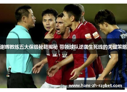 谢晖教练五大保级秘籍揭秘 带领球队逆袭生死线的关键策略 谢晖教练五大保级秘籍揭秘 带领球队逆袭生死线的关键策略