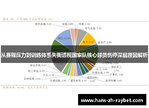 从赛程压力到训练体系失衡透视国家队核心球员伤停深层原因解析