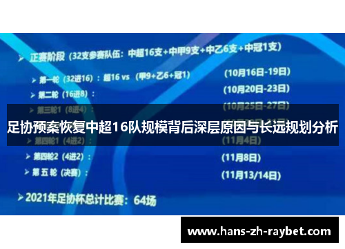 足协预案恢复中超16队规模背后深层原因与长远规划分析